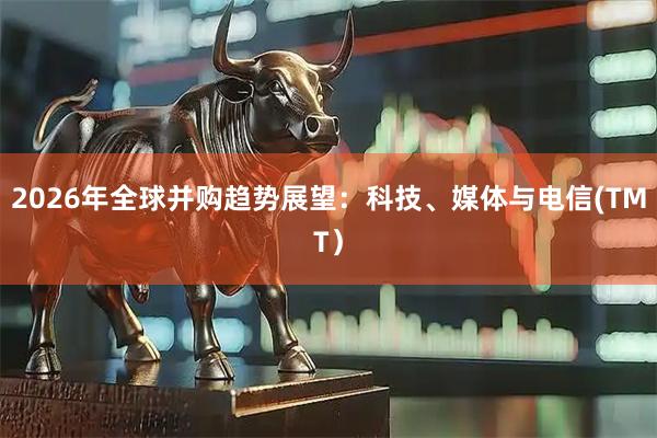 2026年全球并购趋势展望：科技、媒体与电信(TMT）